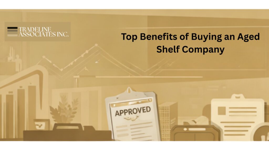 Top Benefits of Buying an Aged Shelf Company