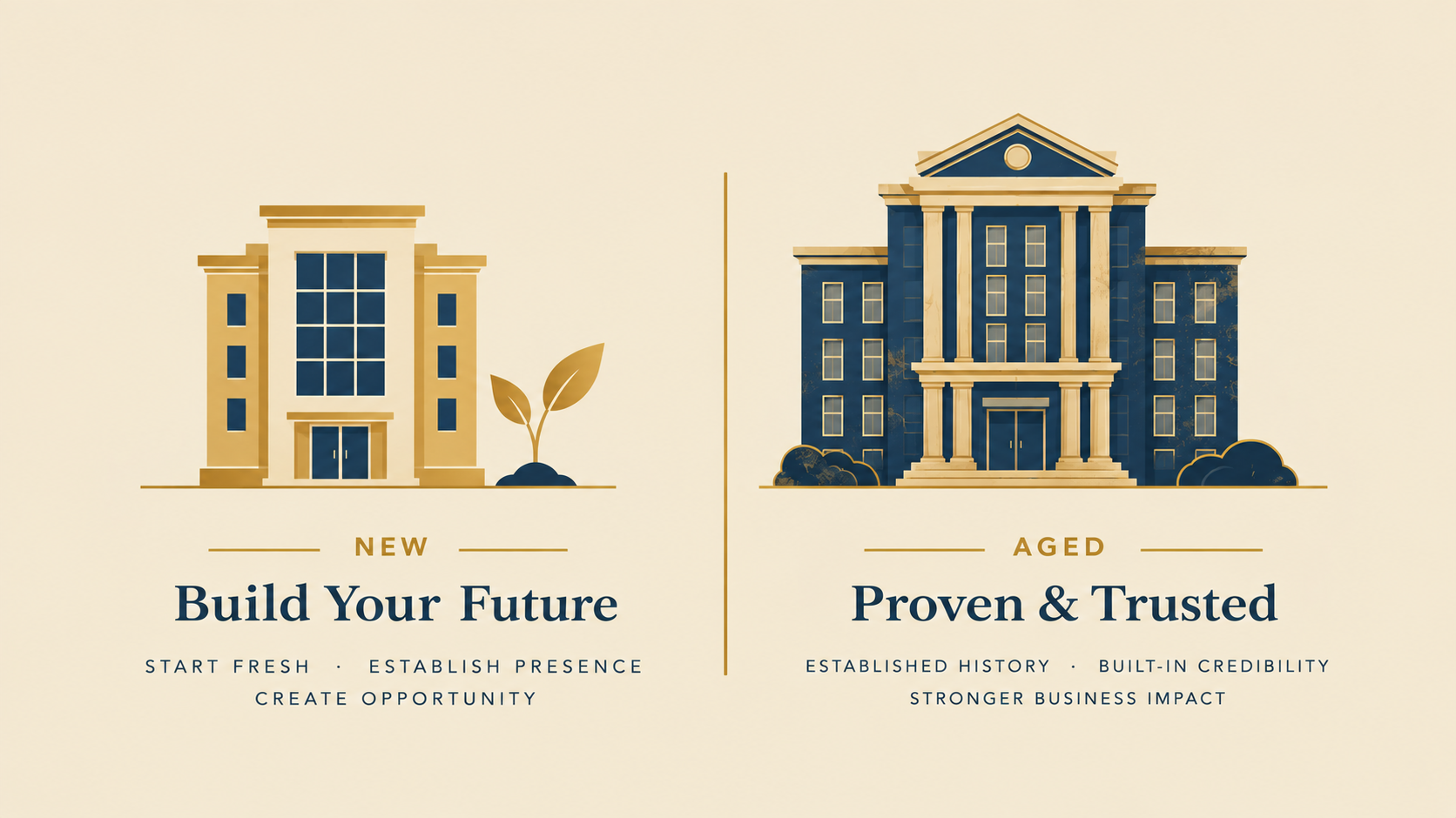 Comparison illustration of a new LLC versus an established aged shelf company"